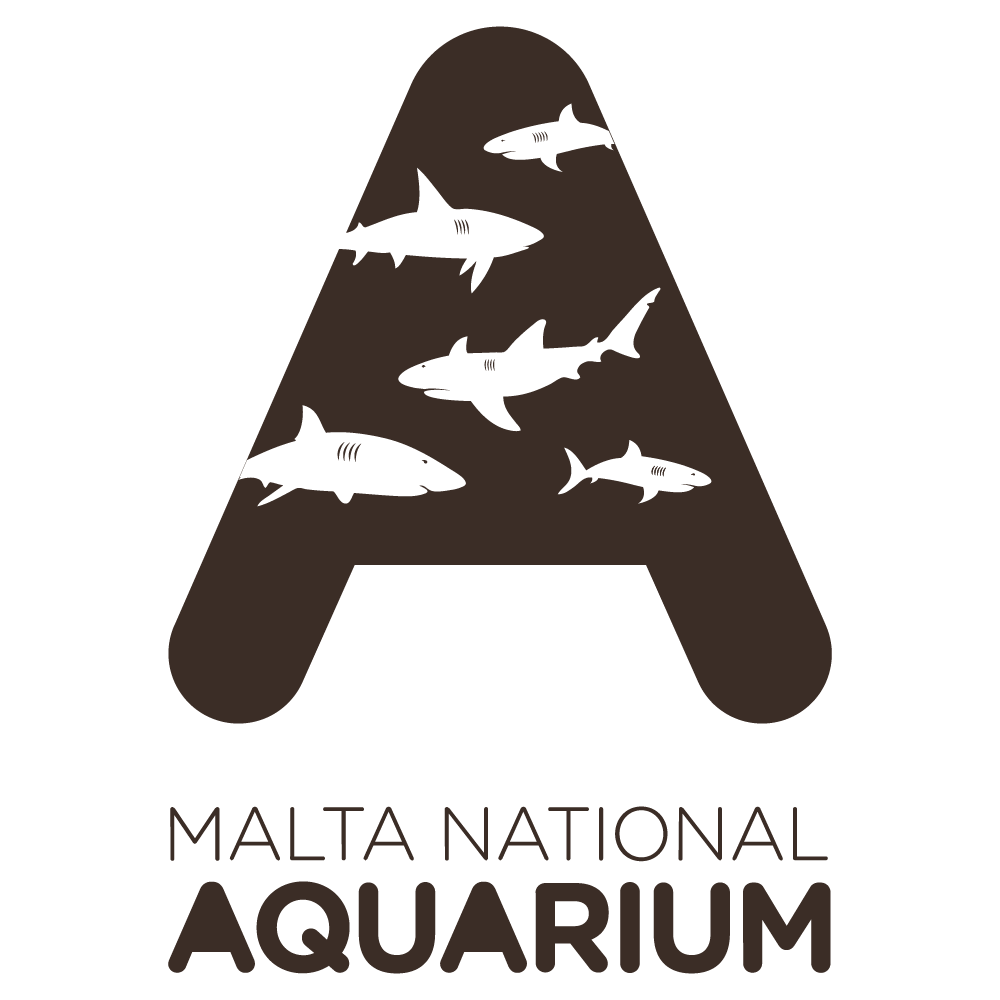 Malta National Aquarium